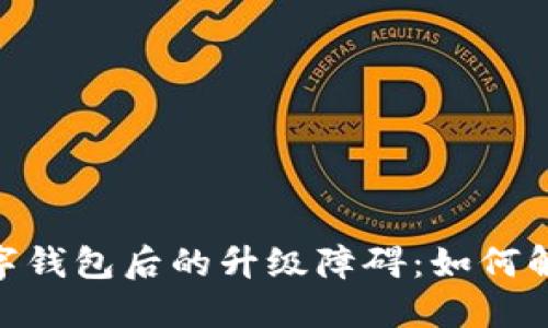 : 開(kāi)通數(shù)字錢(qián)包后的升級(jí)障礙：如何解決與體驗(yàn)