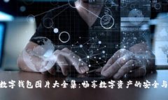 狐貍數(shù)字錢包圖片大全集