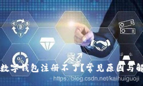 為什么數(shù)字錢包注冊不了？常見原因與解決方案