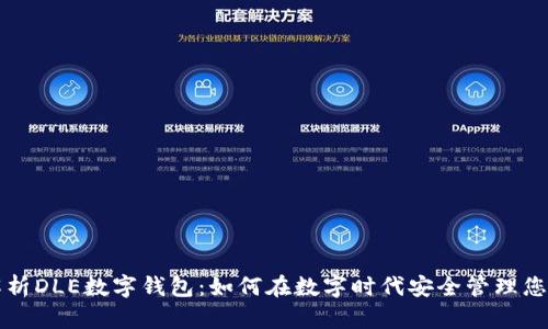 全面解析DLE數(shù)字錢包：如何在數(shù)字時(shí)代安全管理您的資產(chǎn)