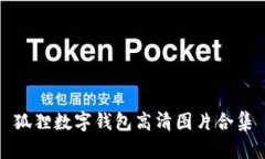 狐貍數(shù)字錢包高清圖片合