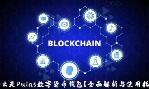 
什么是Pulas數(shù)字貨幣錢包？全面解析與使用指南