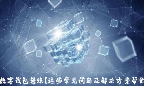 
沒有收到數(shù)字錢包轉(zhuǎn)賬？這些常見問題及解決方案幫你找回資金