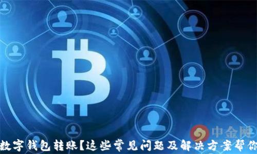 
沒有收到數(shù)字錢包轉(zhuǎn)賬？這些常見問題及解決方案幫你找回資金