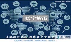 小狐插件錢包：數(shù)字資產(chǎn)