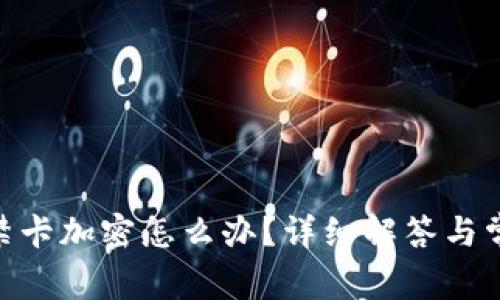 vivo錢包門禁卡加密怎么辦？詳細(xì)解答與常見問題解析