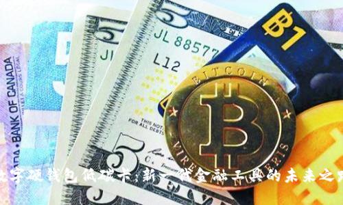 數(shù)字硬錢包低碳卡：新一代金融工具的未來之路