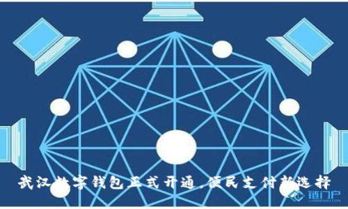 武漢數(shù)字錢包正式開通，便民支付新選擇