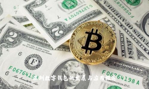 深圳數(shù)字錢包的發(fā)展與應(yīng)用概述