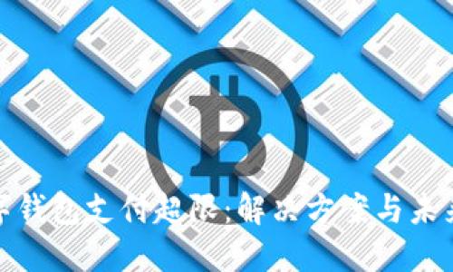 : 數(shù)字錢包支付超限：解決方案與未來發(fā)展