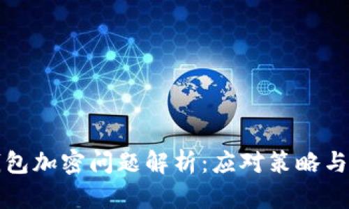 狗狗幣錢包加密問題解析：應(yīng)對策略與解決方案