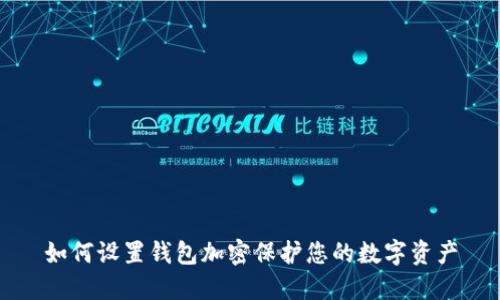 如何設(shè)置錢包加密保護(hù)您的數(shù)字資產(chǎn)