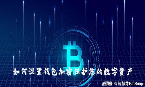 如何設(shè)置錢包加密保護(hù)您的數(shù)字資產(chǎn)