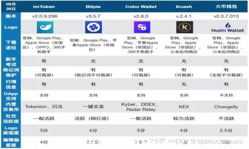  
區(qū)塊鏈支付使用什么錢包最安全可靠？