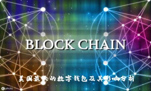 美國(guó)最大的數(shù)字錢(qián)包及其影響分析