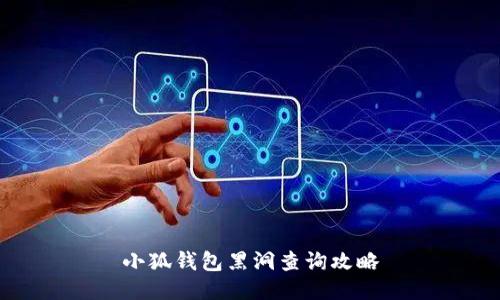 小狐錢包黑洞查詢攻略