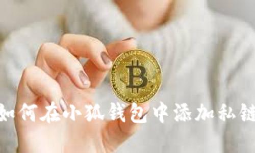 如何在小狐錢(qián)包中添加私鏈