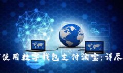 如何使用數(shù)字錢包支付淘