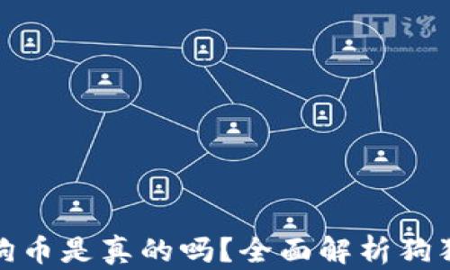 
小狐錢包存狗狗幣是真的嗎？全面解析狗狗幣存儲安全性