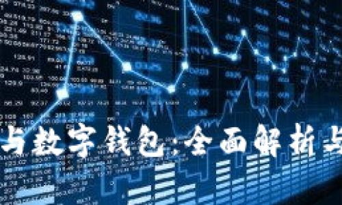 公司賬戶(hù)與數(shù)字錢(qián)包：全面解析與應(yīng)用前景