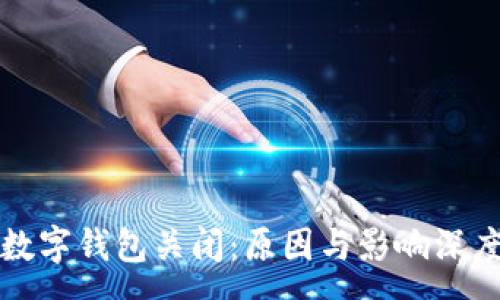 :
對公數(shù)字錢包關(guān)閉：原因與影響深度分析