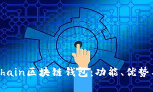 全面解析Chain區(qū)塊鏈錢包：功能、優(yōu)勢與應(yīng)用場景