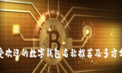 最受歡迎的數(shù)字錢(qián)包名稱(chēng)