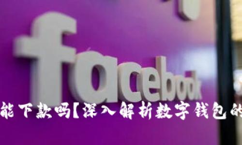 數(shù)字錢包還能下款嗎？深入解析數(shù)字錢包的現(xiàn)狀與未來