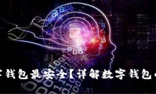 哪種數(shù)字錢包最安全？詳解數(shù)字錢包的安全性