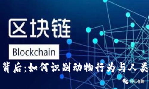 狐貍賣萌的背后：如何識別動物行為與人類情感的真相