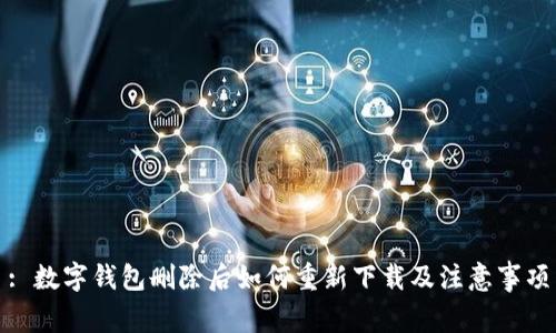 : 數(shù)字錢(qián)包刪除后如何重新下載及注意事項(xiàng)