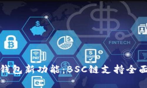 小狐錢包新功能：BSC鏈支持全面解析