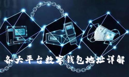 各大平臺(tái)數(shù)字錢包地址詳解