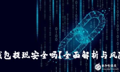 數(shù)字錢包提現(xiàn)安全嗎？全面解析與風(fēng)險(xiǎn)防控