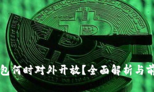 數(shù)字錢包何時(shí)對外開放？全面解析與前景展望
