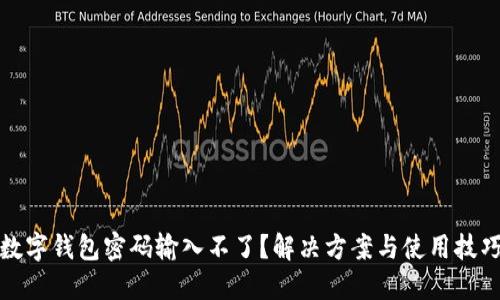 數(shù)字錢包密碼輸入不了？解決方案與使用技巧