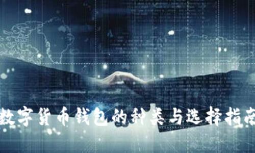 數(shù)字貨幣錢包的種類與選擇指南