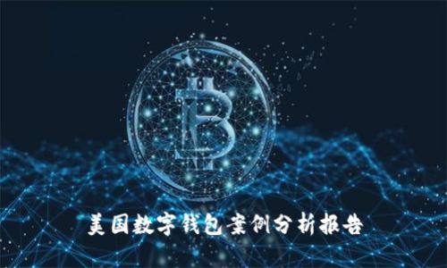 美國(guó)數(shù)字錢包案例分析報(bào)告