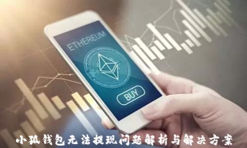 
小狐錢包無法提現(xiàn)問題解析與解決方案