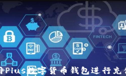 
如何使用Plus數(shù)字貨幣錢包進(jìn)行充值和填充