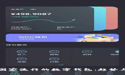 南美國(guó)家流行的數(shù)字錢(qián)包：趨勢(shì)與選擇