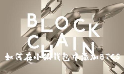 如何在小狐錢包中添加BTCS