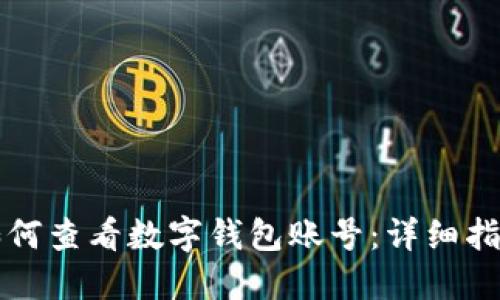 如何查看數(shù)字錢包賬號：詳細指南