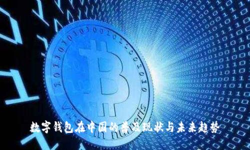 數(shù)字錢包在中國(guó)的普及現(xiàn)狀與未來趨勢(shì)