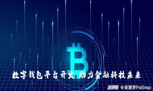 數(shù)字錢包平臺開發(fā)：助力金融科技未來