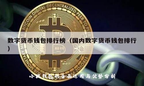 小狐錢包的全面運(yùn)用與優(yōu)勢(shì)分析
