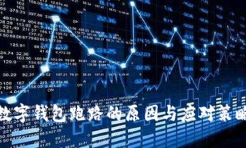 數(shù)字錢包跑路的原因與應對策略