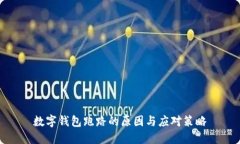 數(shù)字錢包跑路的原因與應(yīng)