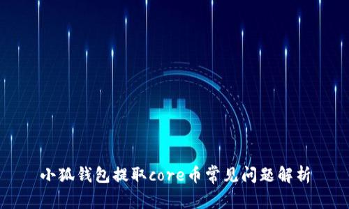 小狐錢包提取core幣常見(jiàn)問(wèn)題解析
