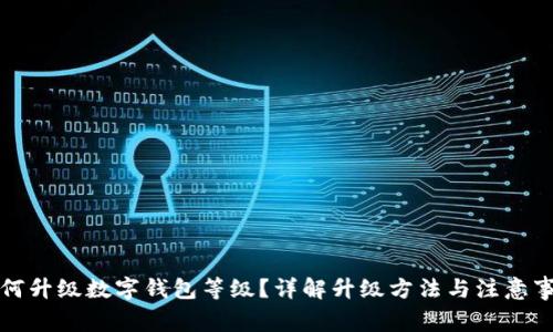 如何升級(jí)數(shù)字錢包等級(jí)？詳解升級(jí)方法與注意事項(xiàng)